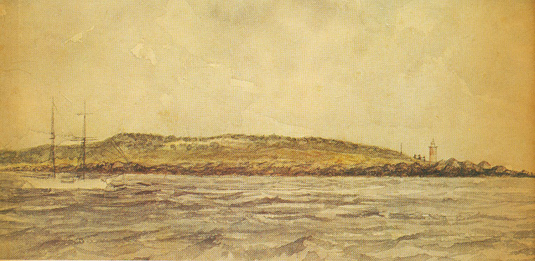 Image of Swan Island sketch
