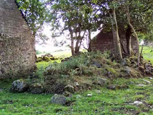 Ruins. Remains of a house at Birch Hill.  Photo: Bill Cardwell.