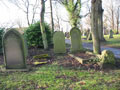 Image of James LANE’s burial plot. Photo: Vin McMullen.