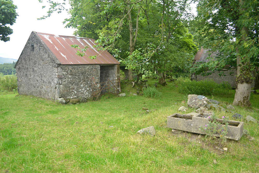 Image of W side of Birch Hill looking NE. Photo: Laurence Campbell.