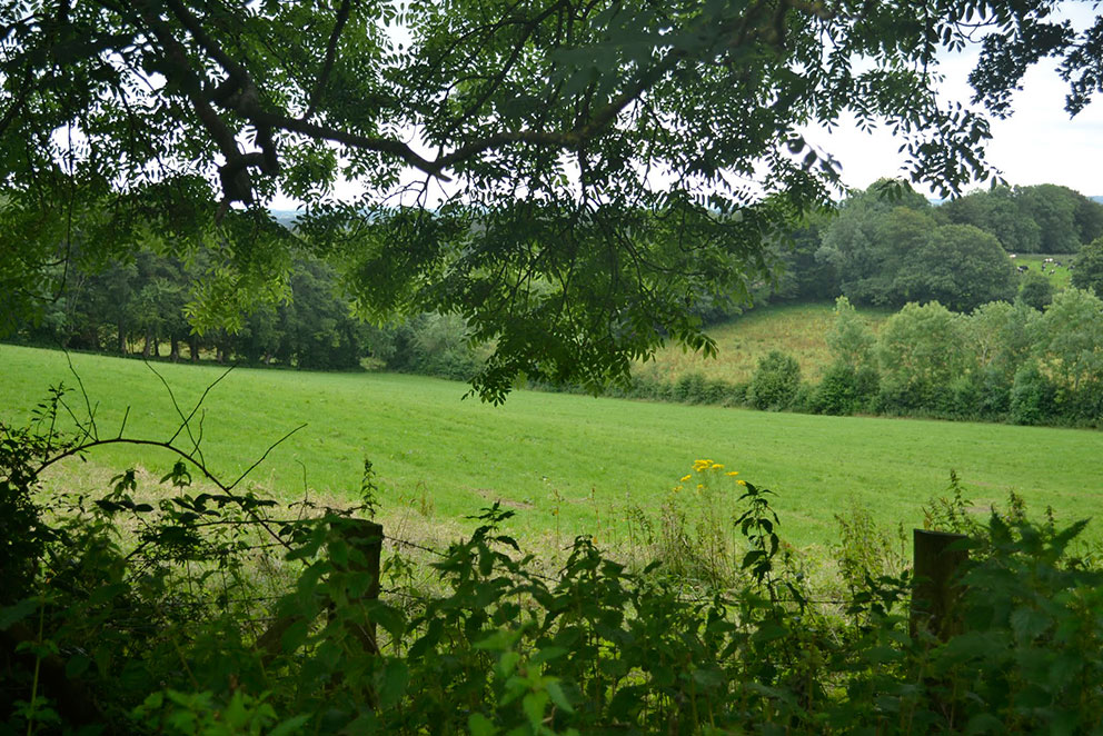Image of William LINN's land from Birch Hill. Photo: Laurence Campbell.