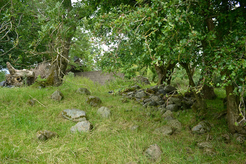 Image of S side of Birch Hill looking NE. Photo: Laurence Campbell.