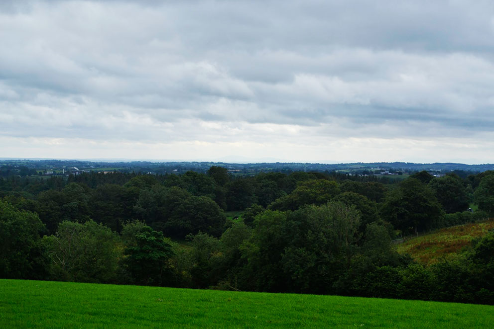 Image of View of Mourne Mountains, SE from Birch Hill. Photo: Laurence Campbell.