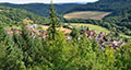 Image of view near the top of the Mühlberg. Photo: Gerhard Klinger.