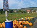 Image of outskirts of Eichel with pumpkin stall. Photo: Colin Horn.