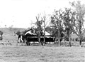 Image of Clevedon Homestead. Courtesy Dungog Shire Council.