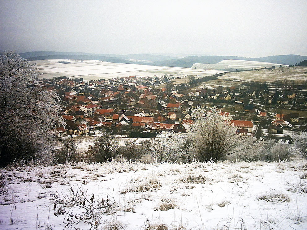 Image of semi-aerial view of Fredelsloh.