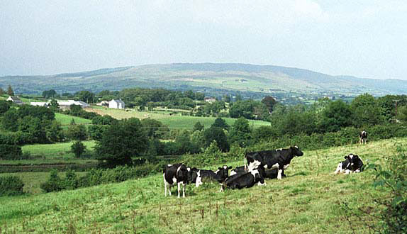 Photograph of area north of Cookstown