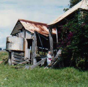 Image of Grannie MATE's home at Wallarobba.