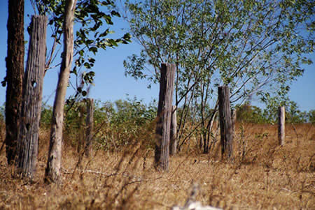 Old Fence Meets New. Photo: PD STRONG 2004.